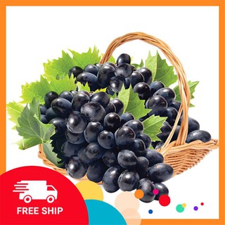 Gói 20 hạt giống nho lùn đen LUCKYVN