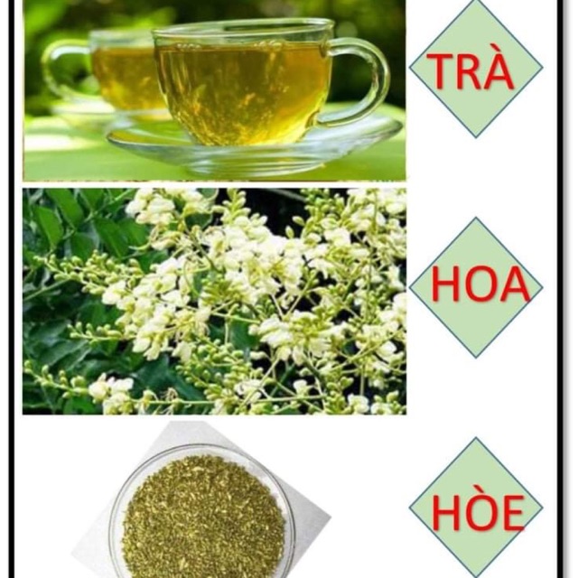 Trà hoa hoè ( túi lọc)