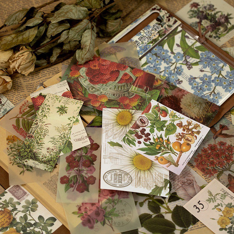Set 60 tấm giấy in hình cây cối phong cách Retro