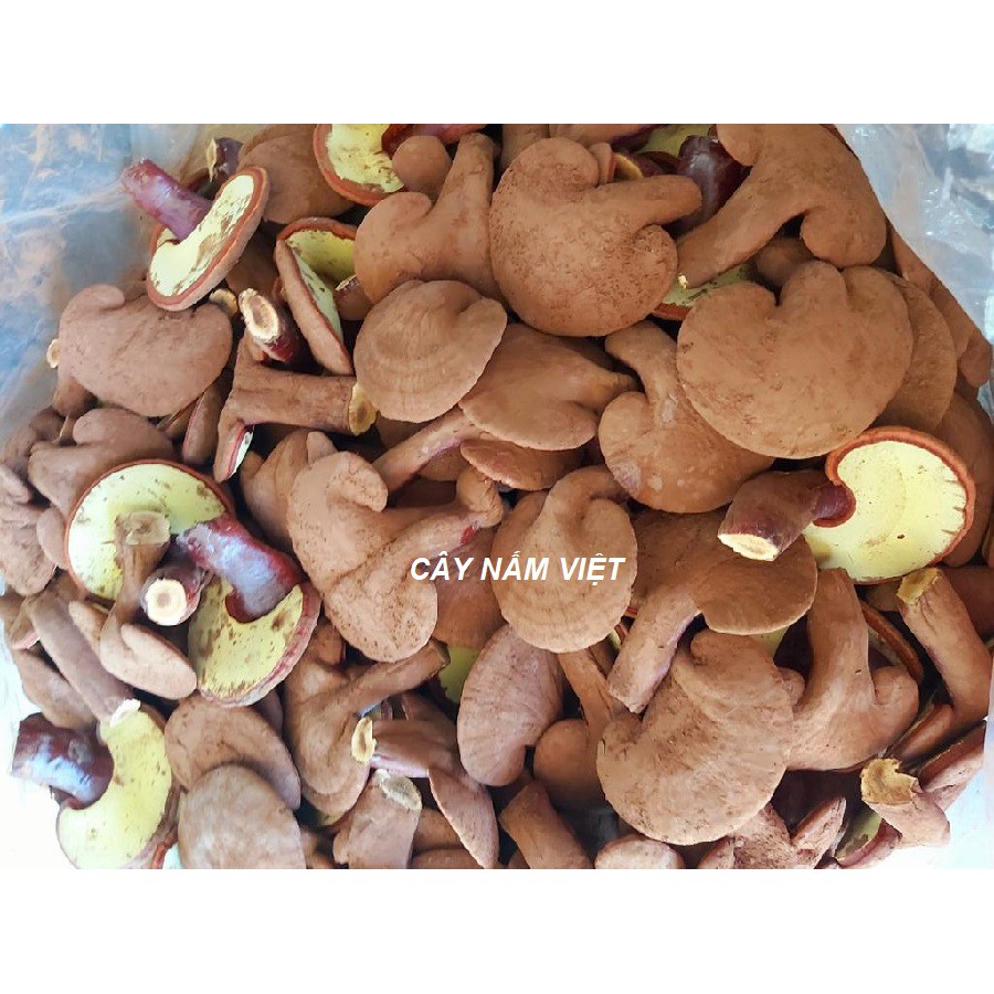 Nấm linh chi đỏ Đà Lạt thái lát 500g - Cây Nấm Việt