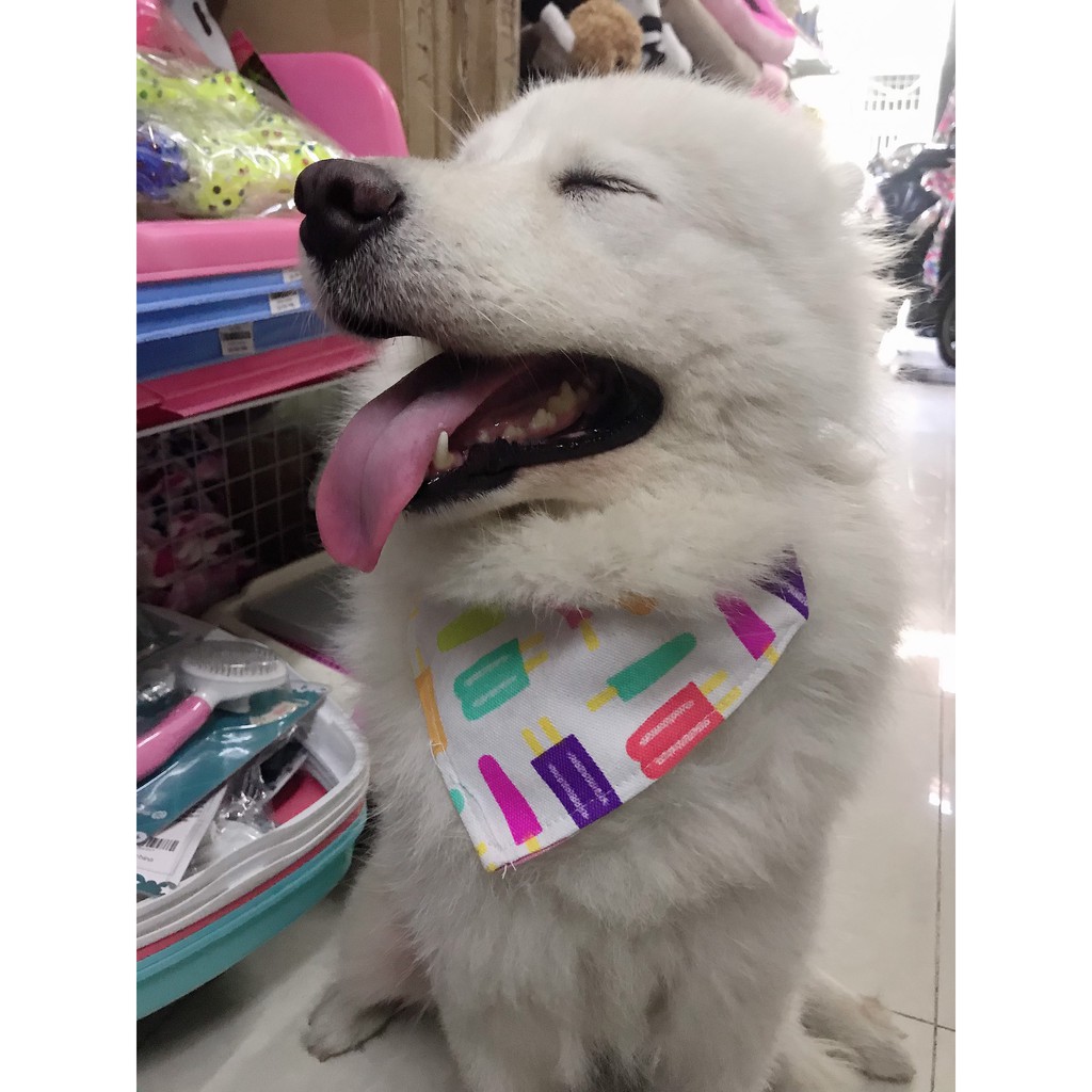 VÒNG CỔ CHO CHÓ CÓ KÈM KHĂN YẾM XUDAPET  - XDP01VCK