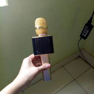 Mic hát kèm loa YS 10 cao cấp