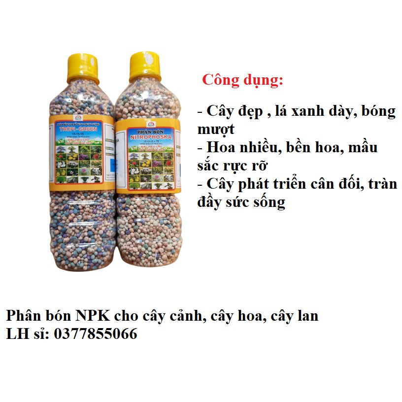 Phân bón cho cây cảnh, cây hoa, lan, Phân NPK giúp lá xanh khỏe, ra hoa nhiều, cây phát triển tốt thúc cây ra hoa ra qủa