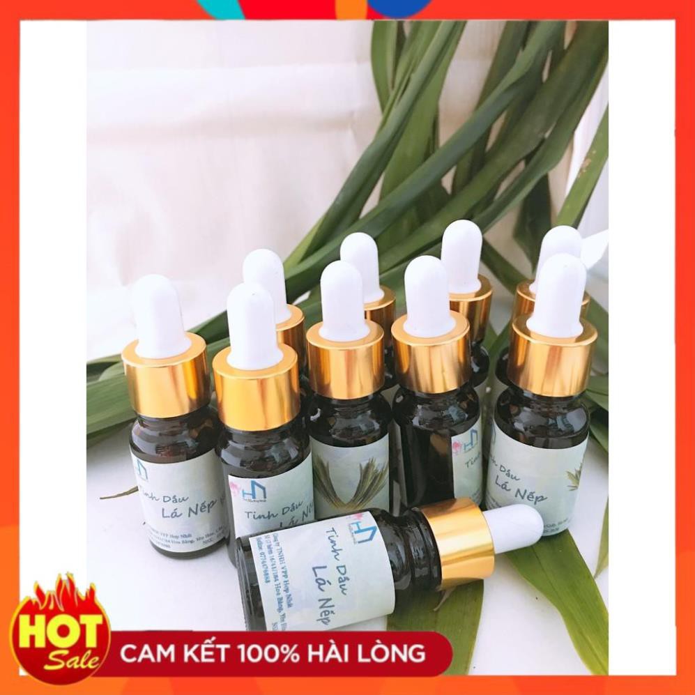 Combo 05 lọ tinh dầu Lá Nếp 10ml