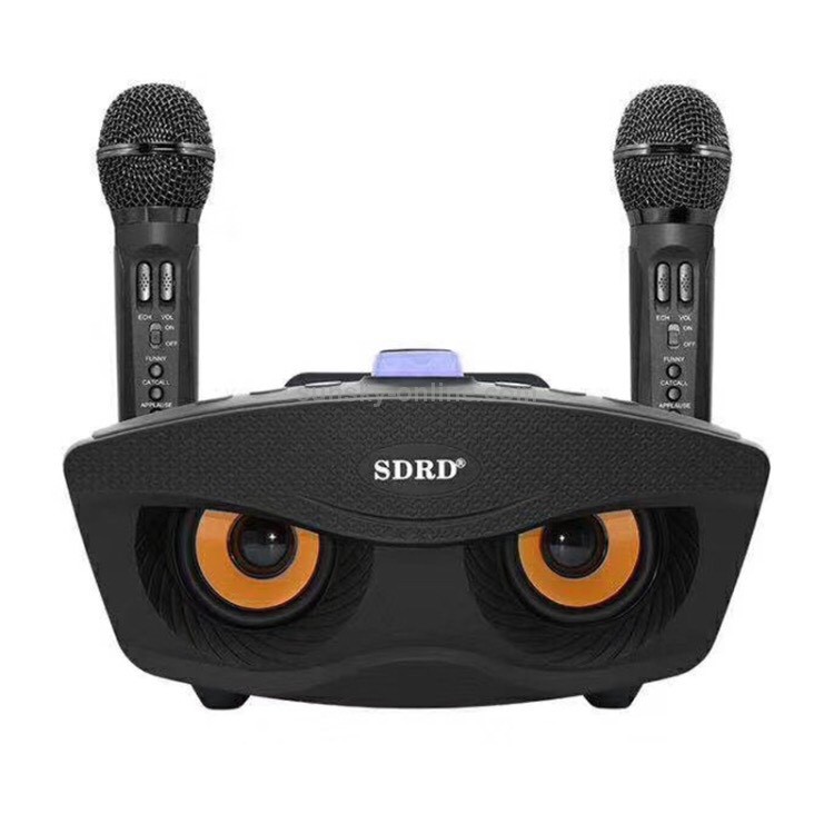 Loa karaoke Bluetooth kèm 2 micro hát không dây SD 306  song ca bass chuẩn - BH 6 tháng 🍁FREE SHIP🍁 - Thắng Phụ Kiện 92