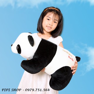 GẤU BÔNG GẤU TRÚC PANDA
