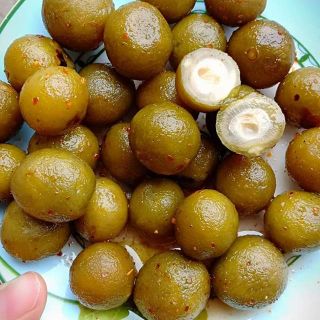 5kg sấu dòn bao tử ô mai chua ngọt cay ngon