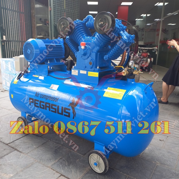 Máy nén khí Pegasus 500 lít