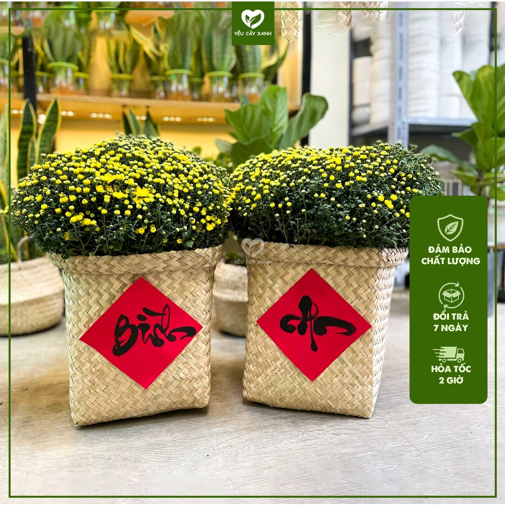 Chữ Thư Pháp Viết Tay chất liệu giấy nhung đỏ cỡ vuông 15cm