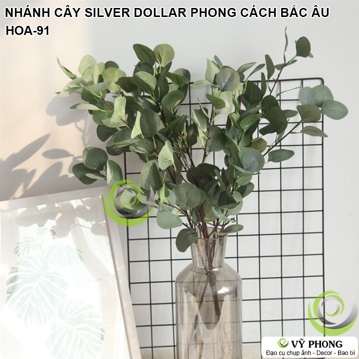 CÀNH LÁ CÂY SILVER DOLLAR PHONG CÁCH BẮC ÂU TRANG TRÍ ĐẠO CỤ CHỤP ẢNH SẢN PHẨM INS HOA-91