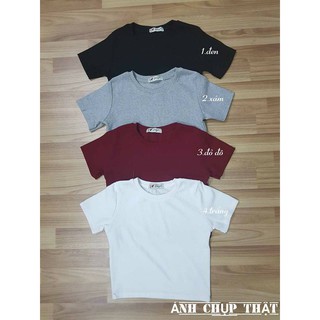 Aó croptop tay ngắn thun gân thailand