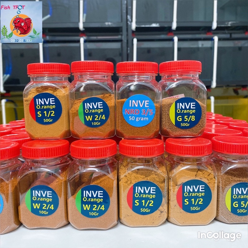 Cám Thái Inve 1/2 2/3 3/5 5/8 Hũ 50g Thức ăn cho cá 7 màu, cá betta, cá thủy sinh, các loại cá nhỏ,...