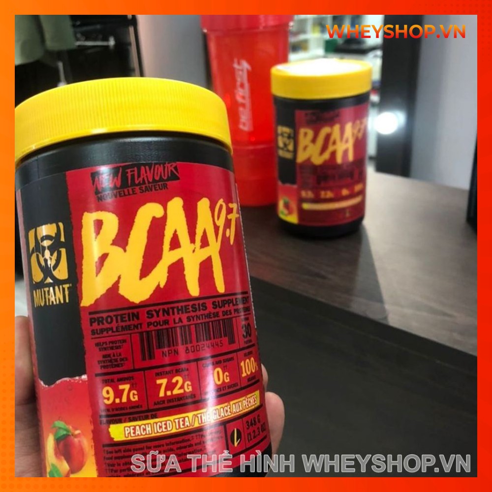 Thực Phẩm Bổ Sung Phục Hồi Cơ Bắp MUTANT BCAA 9.7 (30 lần dùng)