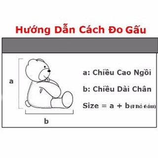 [ Gấu bông 2m2 ] Gấu bông teddy 2m2