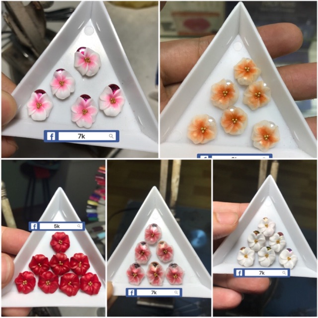 Combo hoa Kim anh. Bình phước