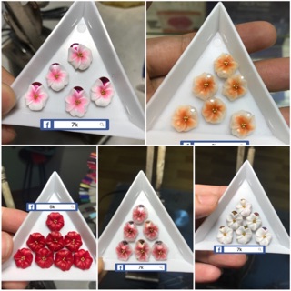 Combo hoa Kim anh. Bình phước