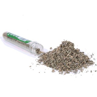 🐱🐱 CATNIP CỎ BẠC HÀ CHO MÈO