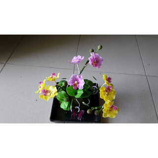 hoa đất sét