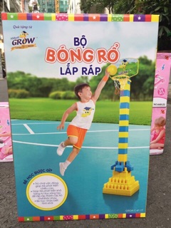 Bộ lắp ráp bóng rổ siêu đẹp