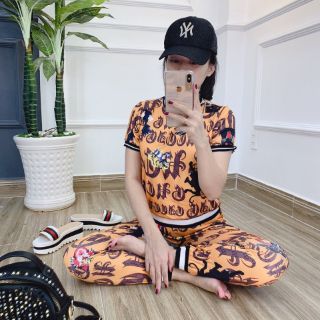 Set bộ 3D Quảng Châu(ảnh chụp thật)