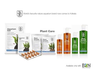CỐT NỀN TROPICA
