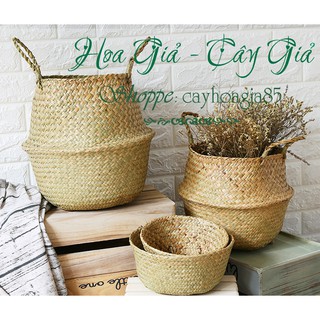 Giỏ mây _ Trồng cây cắm hoa trang trí