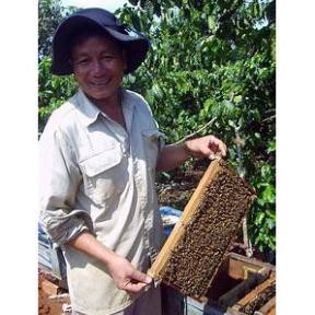 [COMBO GIÁ SỐC] 500g mật ong hoa cà phê +500g tinh bột nghệ vàng thủ công chuẩn bao test