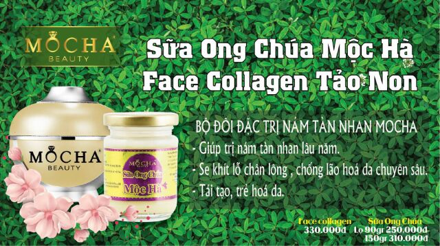 Kem Face Colagen Tảo Non