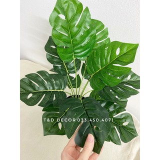 Cây giả - Cây lá rùa Decor 30-40cm