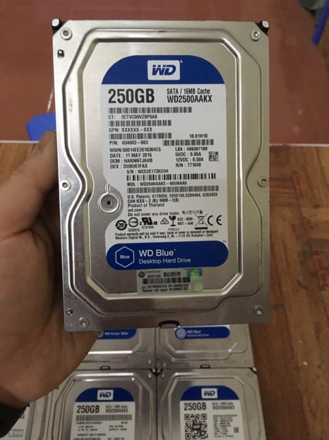 Ổ cứng máy tính để bàn 250GB 500GB | BigBuy360 - bigbuy360.vn
