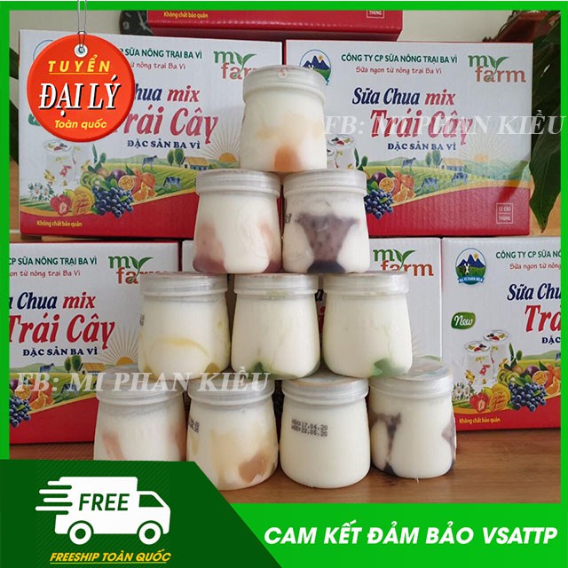 [MUA 1 TẶNG 1] CHỈ BÁN LÈ TẠI HÀ NỘI, TUYỂN SỈ SỮA CHUA BA VÌ MYFAM TRÊN TOÀN QUỐC