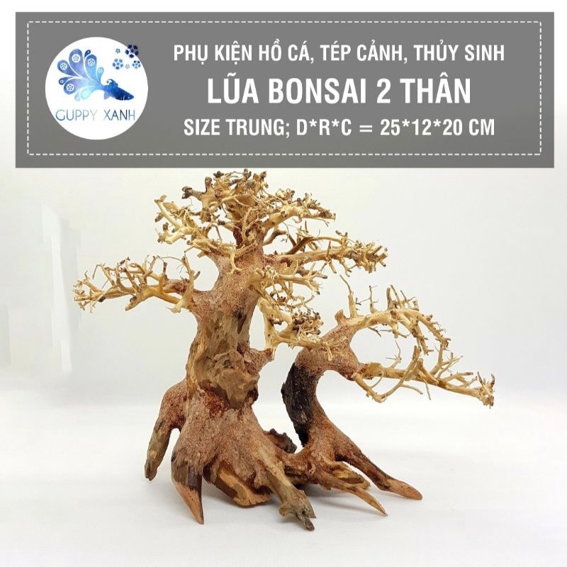 lũa bonsai cho hồ thủy sinh - có nhiều mẫu và dang cho việc set up hồ thủy sinh