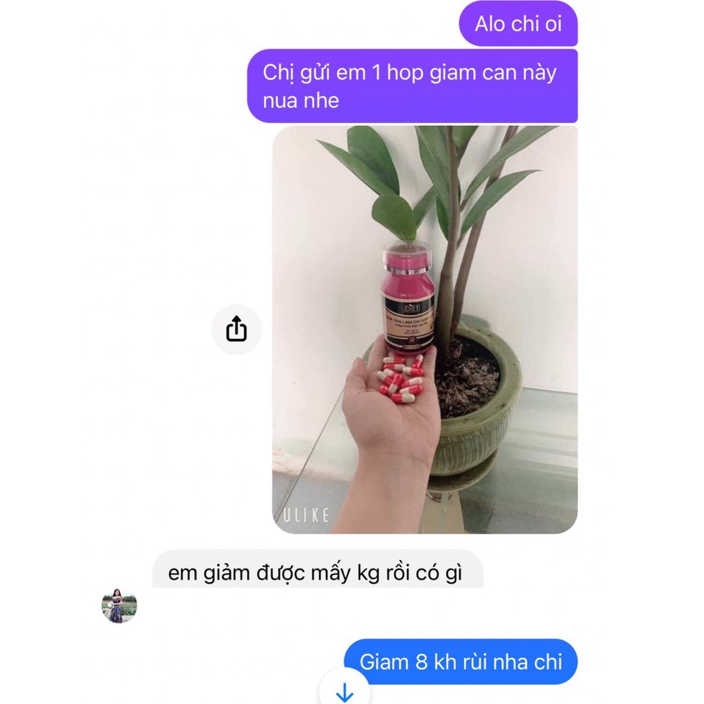 [Giảm Cấp Tốc ] Giảm cân linh chi hàn quốc ( Không dành cho người dễ g.iảm C.ân ) | BigBuy360 - bigbuy360.vn