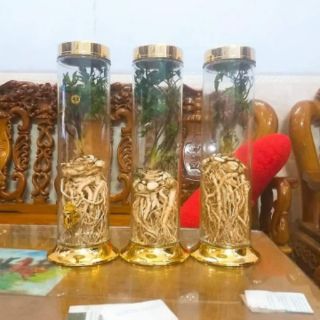 Sâm Đương Quy Khô