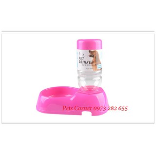 Bát cấp nước tự động 350ml