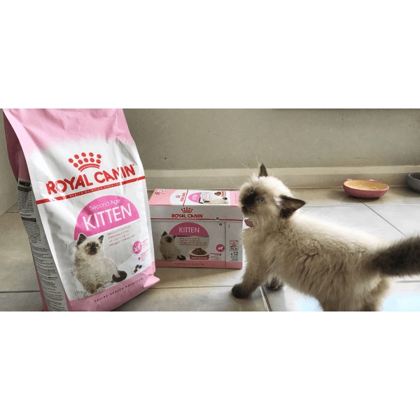 Thức ăn hạt cho mèo Royal Canin Kitten - Túi 400gr - Thức ăn cho mèo giá sỉ