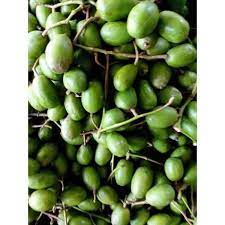 Cóc Bao Tử tươi chua giòn - giao Hỏa Tốc