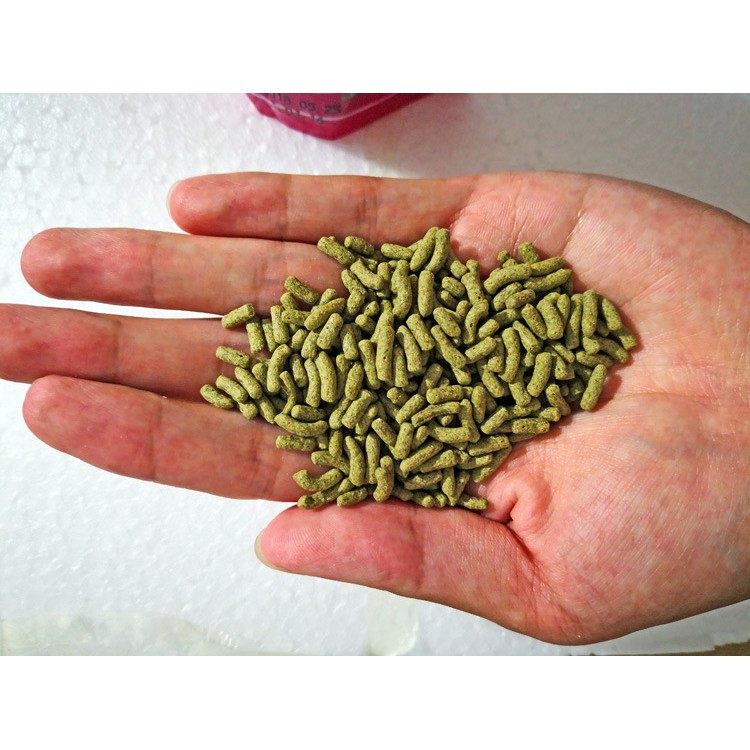 Thức Ăn Dinh Dưỡng Cho Rùa Inch Gold - Cám Cho Rùa, Baba