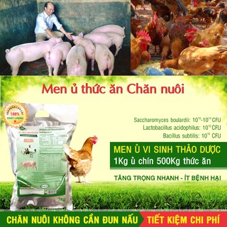 Men ủ vi sinh thảo dược - Ủ chín thức ăn chăn nuôi