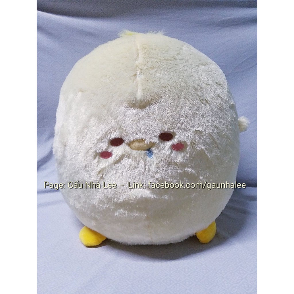 Bé gấu bông Chubby Bird, size 35cm, lông đẹp mịn, hàng xịn sò chính hãng Nhật Bản, mới 100%, full tem tag giấ