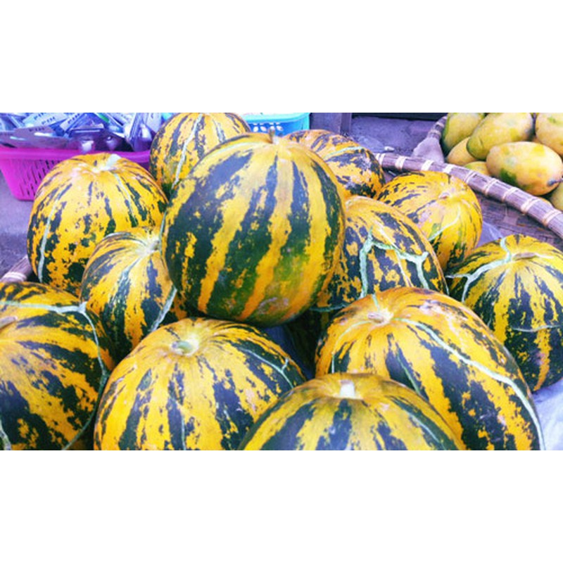 Hạt giống Dưa Bở 20 Hạt