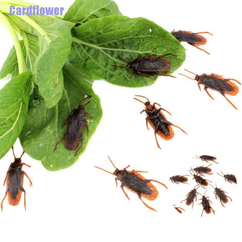 (Hàng Mới Về) Bộ 10 Miếng Cao Su Trang Trí