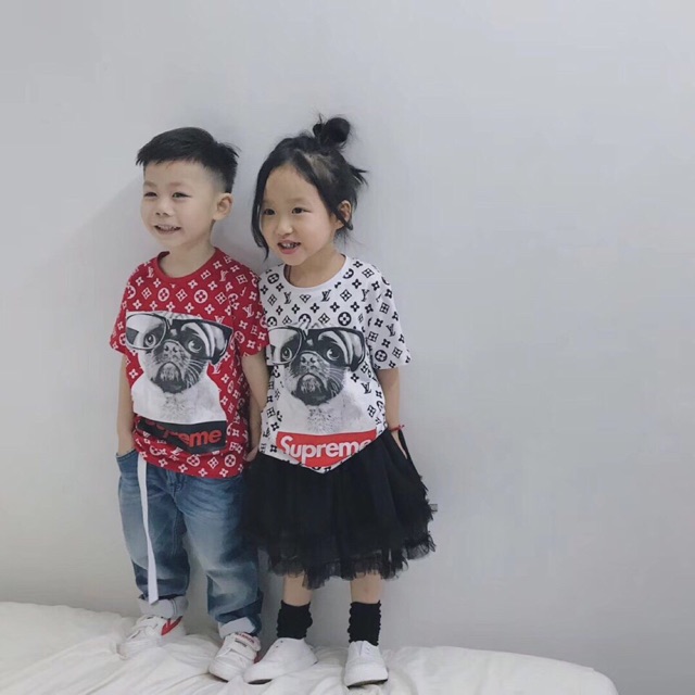 Áo chó Superman