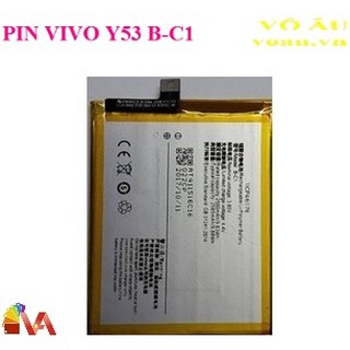 PIN VIVO Y53