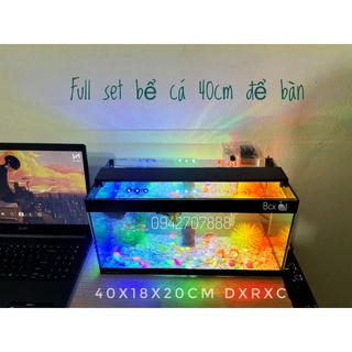 Bộ bể cá cảnh size 40cm đầy đủ đèn lọc và phụ kiện