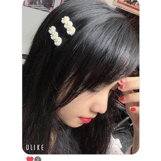 KẸP CÚC HỌA MI ĐỦ LOẠI
