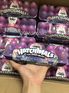 Khay trứng Hatchimal One Dozen