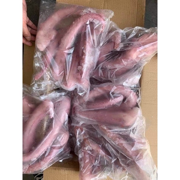 Râu bạch tuộc khổng lồ 1kg Nét 0,7 - Giao Hàng Hà Nội