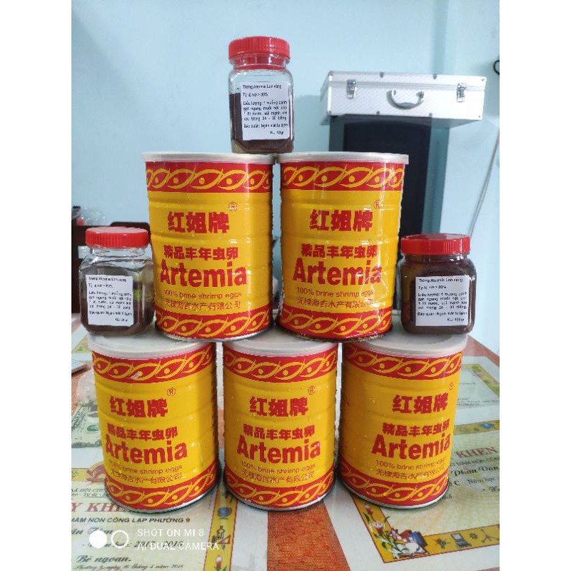 Trứng Atermia Lon Vàng Hủ 100 gr Tỷ Lệ Nở Rất Cao , Tặng Kèm Bộ Ấp.