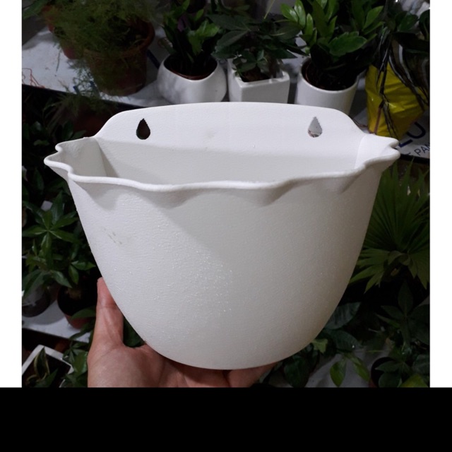 Chậu nhựa ốp tường bán Nguyệt